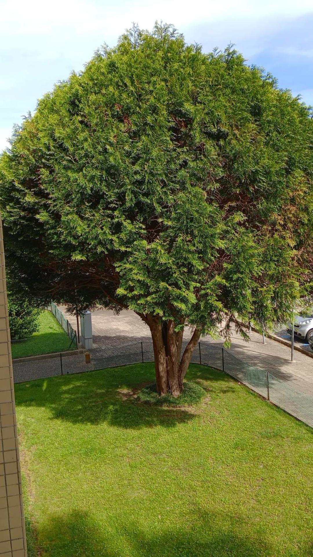 Apartament Praceta Porto Zewnętrze zdjęcie